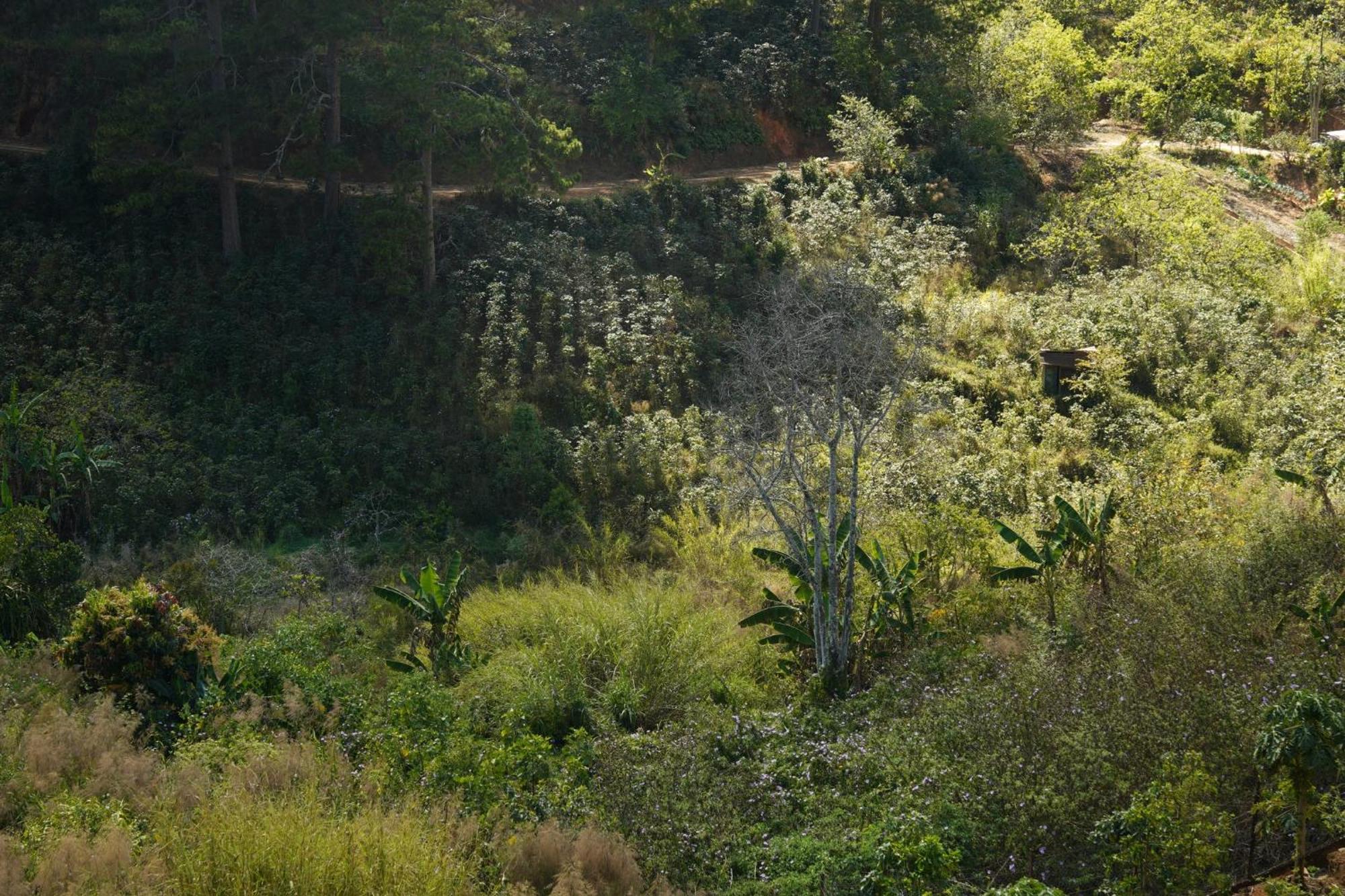 Emai Valley Đà Lạt Exterior foto
